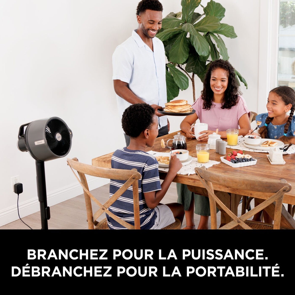 Shark FlexBreeze Pro Mist système de ventilation et de brumisation d’intérieur et d’extérieur
