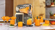 Machine A Granites Et Boissons Glacees Ninja Slushi Max Moka Fs605eubr